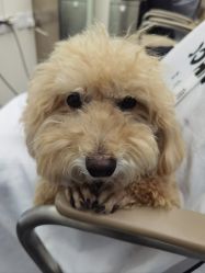 -Hair Co.一间沙龙