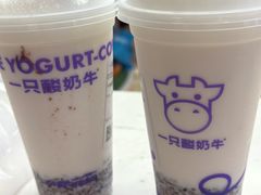 -一只酸奶牛(大融城店)
