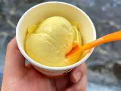 -iceason爱茜茜里·意大利健康冰淇淋(骑龙巷店)