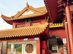 -深圳仙湖植物园