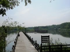 -溱湖国家湿地公园