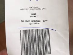 -怀托摩萤火虫洞