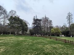 -习家池