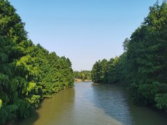 -上海海湾国家森林公园