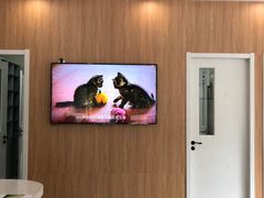 -爱妮康宠物医院·干细胞免疫细胞·肿瘤·心脏(张江店)