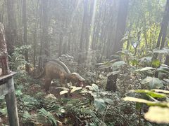 -佛冈森波拉度假区