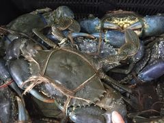 -無招牌海鮮(芽笼店)