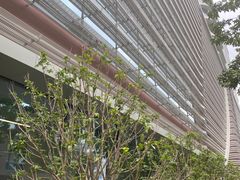 -上海市徐汇区口腔医院
