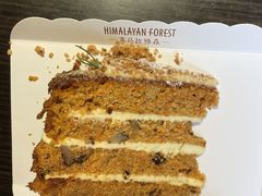 -喜马拉雅森HIMALAYAN FOREST