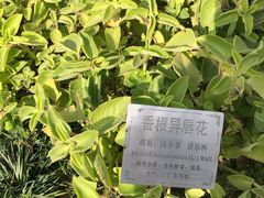 -广州神农草堂中医药博物馆