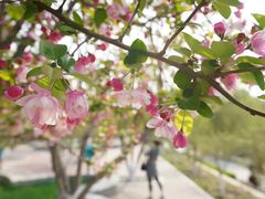 -元大都城垣遗址公园