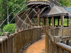 -茅山东方盐湖城景区