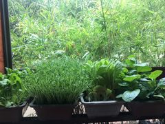 -素芝林素食养生会所(黄山豪庭·御府店)