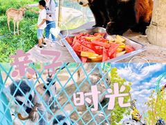 -水上乐园·欢乐世界