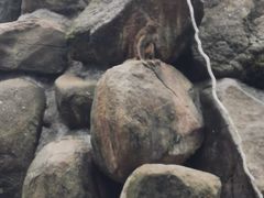-广州海洋馆
