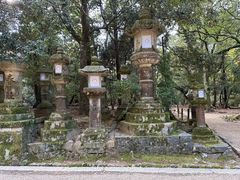 -奈良公园