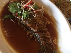 -清雅轩·清真菜·传统菜•融合菜(滑翔店)