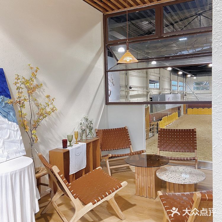 厦门·一起喝下午茶吗？！自带马场的那种🐎