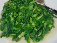 -福1015(愚园路店)