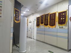 -中农国际动物医院24小时·猫科·骨科·急重症中心