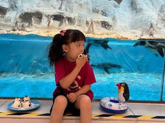 -帝企鹅自助餐厅•儿童岛•真企鹅(长隆企鹅酒店)