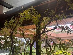 -大神太神·铁板烧(瑞虹天地月亮湾店)