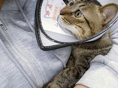 -博特宠物医院24h犬猫全科.骨科·异宠
