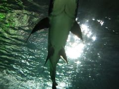 -福州罗源湾海洋世界旅游区