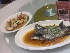 -骏莱海鲜鱼港(五角场店)