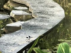 -云溪植物园