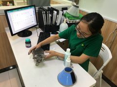 -瑞鹏宠物医院·内科·中兽医·骨科(苗圃店)