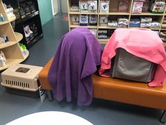 -申普宠物医院·心脏介入·心血管微创(总院)
