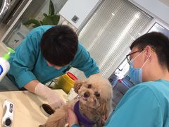 -骐奇宠物诊疗中心(南亭公路店)