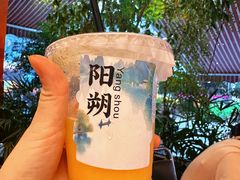 -刘姐啤酒鱼民族演艺餐厅(西街总店)