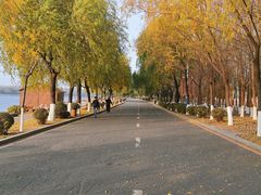 -丁香湖公园