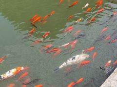 -宁波市保国寺古建筑博物馆