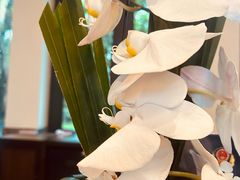 -海南清水湾莱佛士酒店