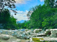 -禅宗少林·音乐大典