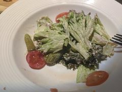 -The Cheebat 锌吧·Bistro(体育西店)