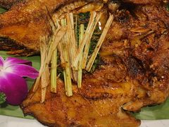 -紫滇源云南生态菜(丹凤街店)