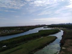 -春花秋色城市公园