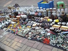 -本溪路花鸟市场(江浦路1709弄小区店)