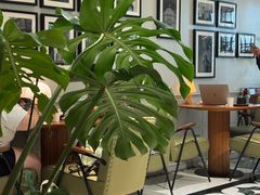 -一尺花园(安和花园店)