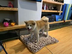 -YCHL Studios健身工作室(市二宫店)