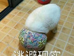 -红宝石·鲜奶小方(昌里店)