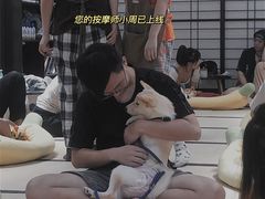 -逗柴咖啡屋·狗咖猫咖宠物桌游