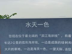 -上海滨江森林公园