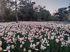 -长春公园(普阳街道)