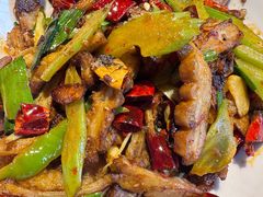 -柴窝堡22号辣子鸡·传承新疆菜