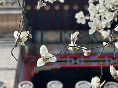 -潭柘寺景区